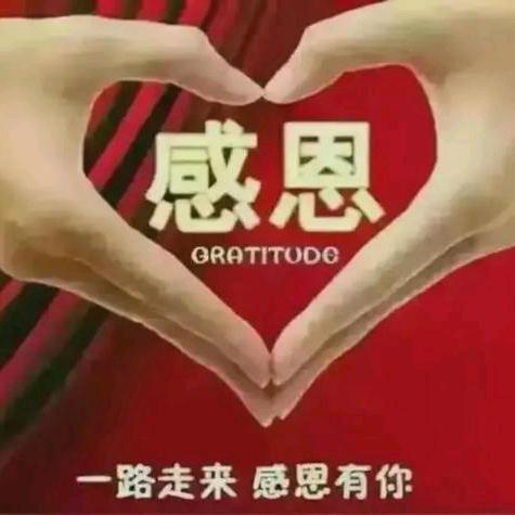 每天都开心张