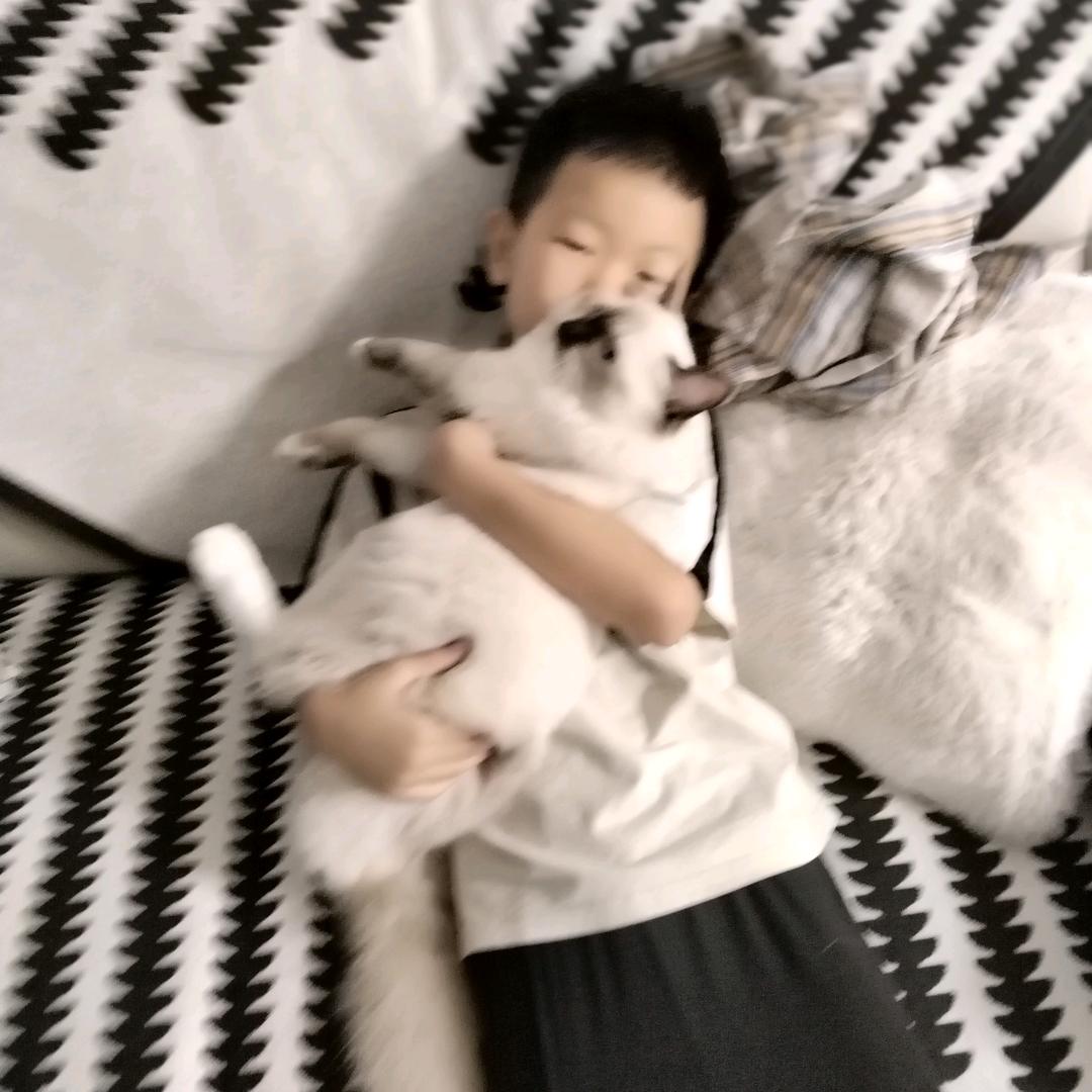 ❤️好ᨶ႒ᩚ运ᥫᩣ໌້ᮨ加满❤️