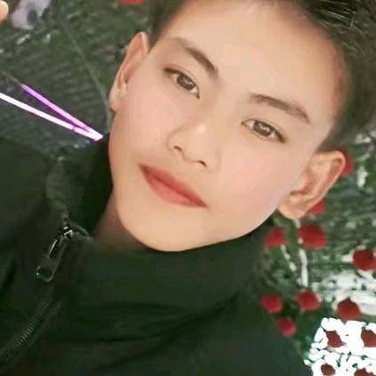 龙龙