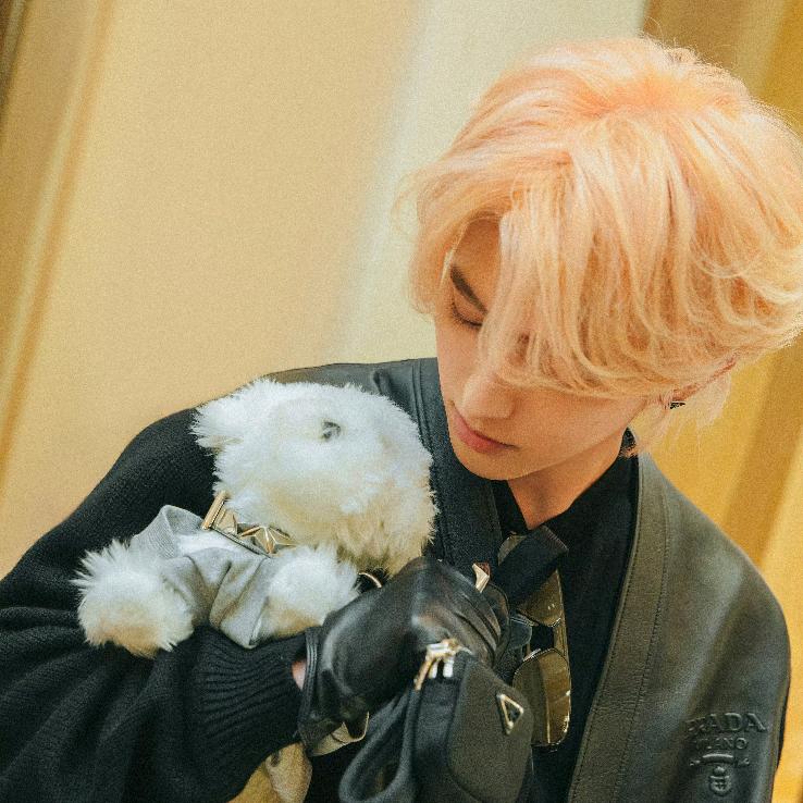 素食主义者爱吃肉