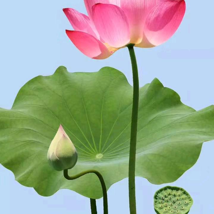 你不知