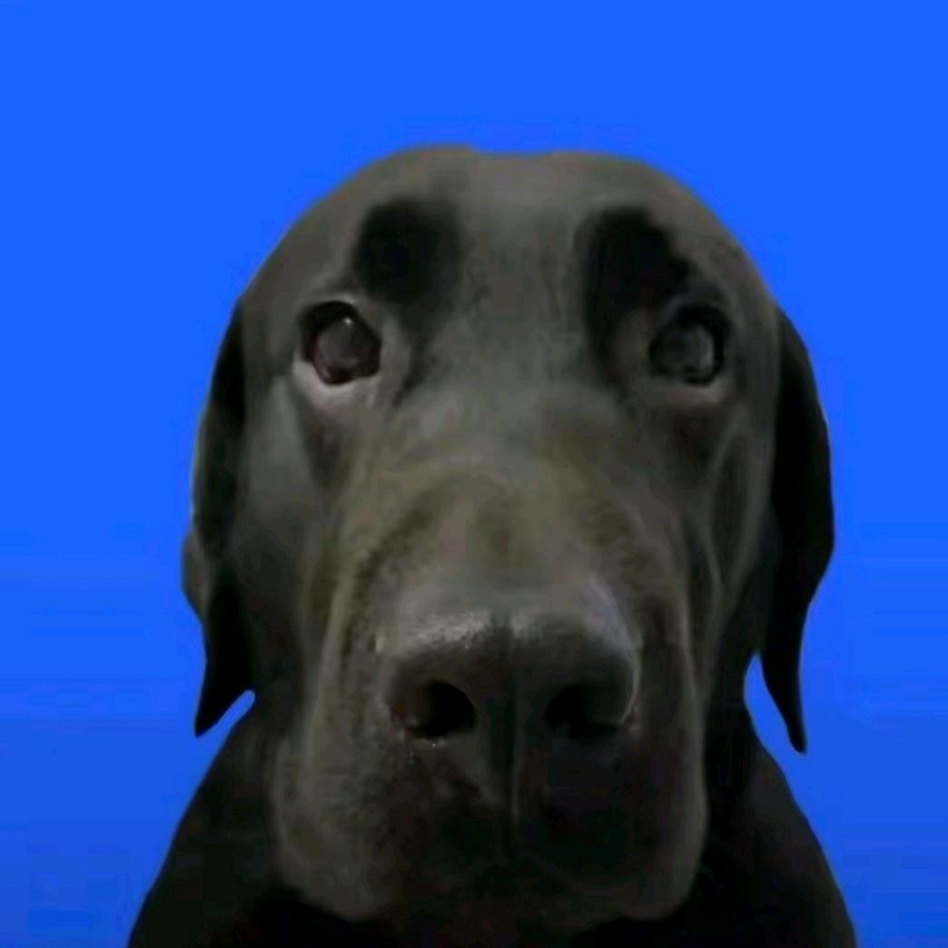 宇宙无敌超级无敌奶浓大王nb666