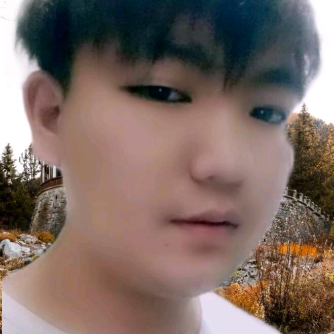 在也不碰感情了