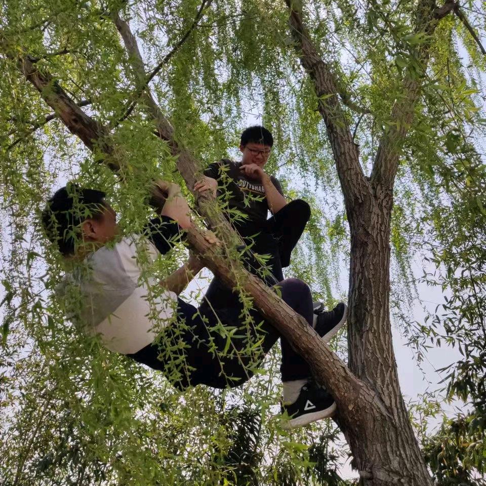 伯，