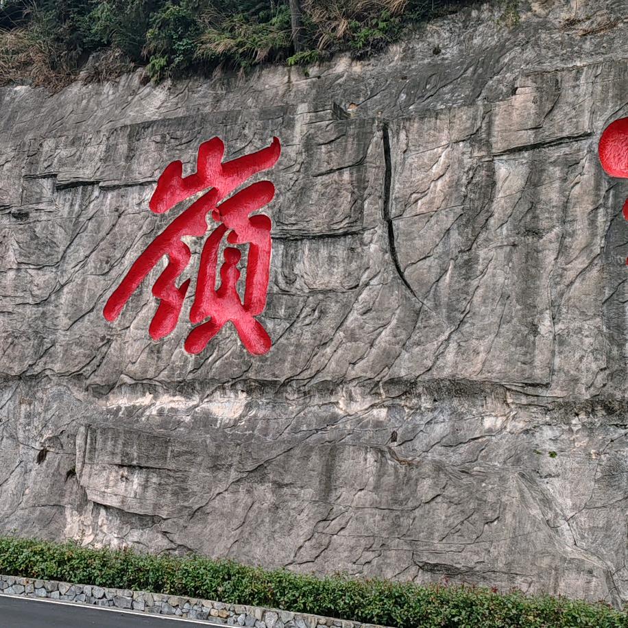 没人疼的宝