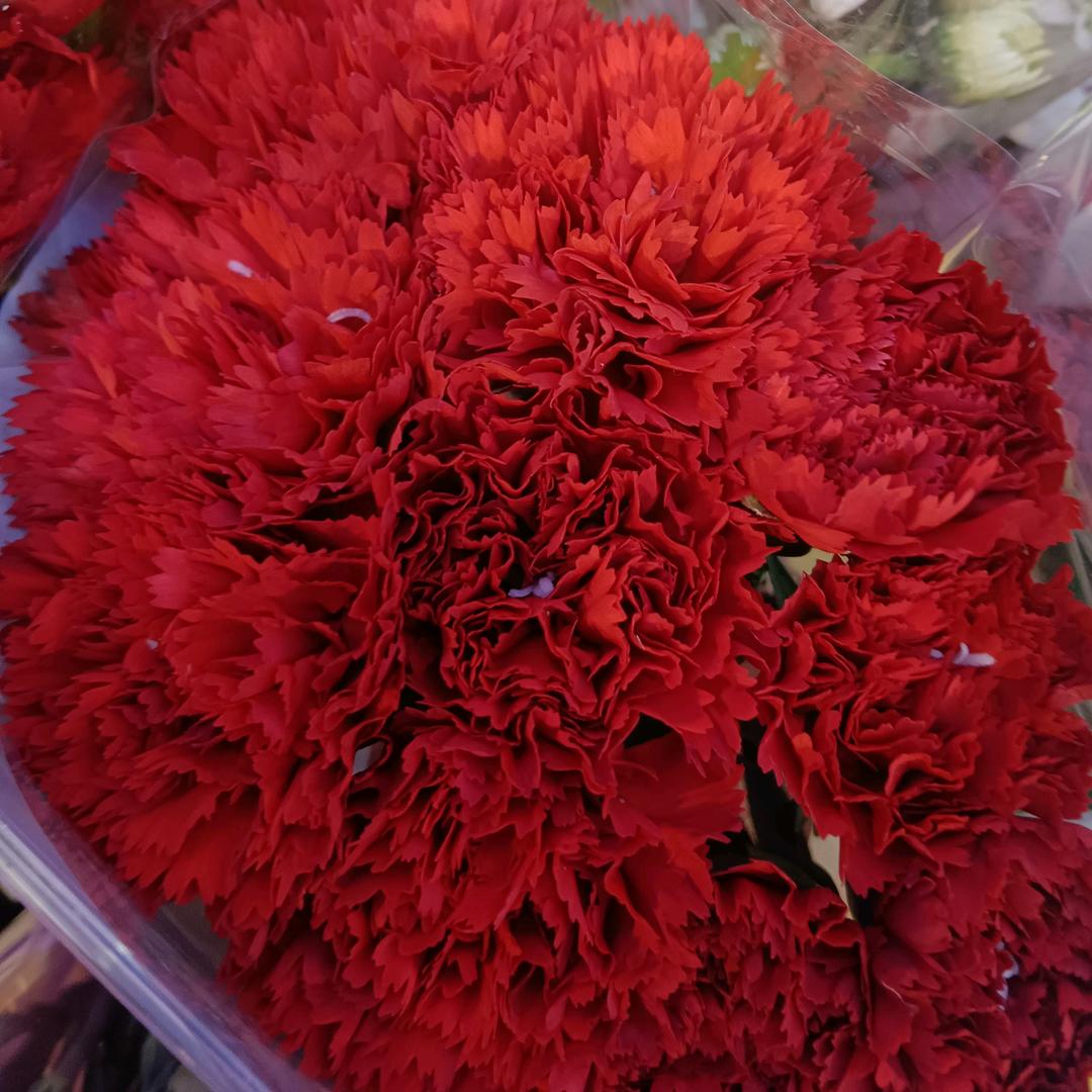 医疗护送首选仁爱快线24小时服务热线