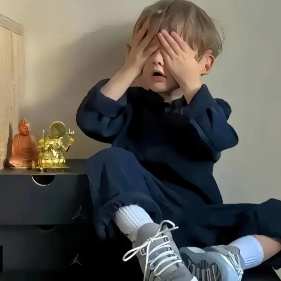 小狗吃鱼（比熊自家繁育）