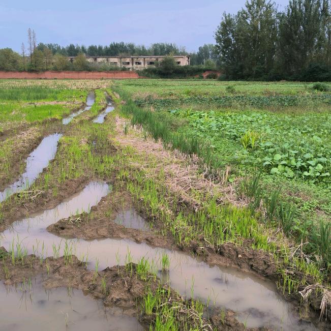 🇨🇳太阳出来了🇨🇳