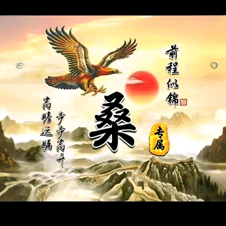 艺术人生