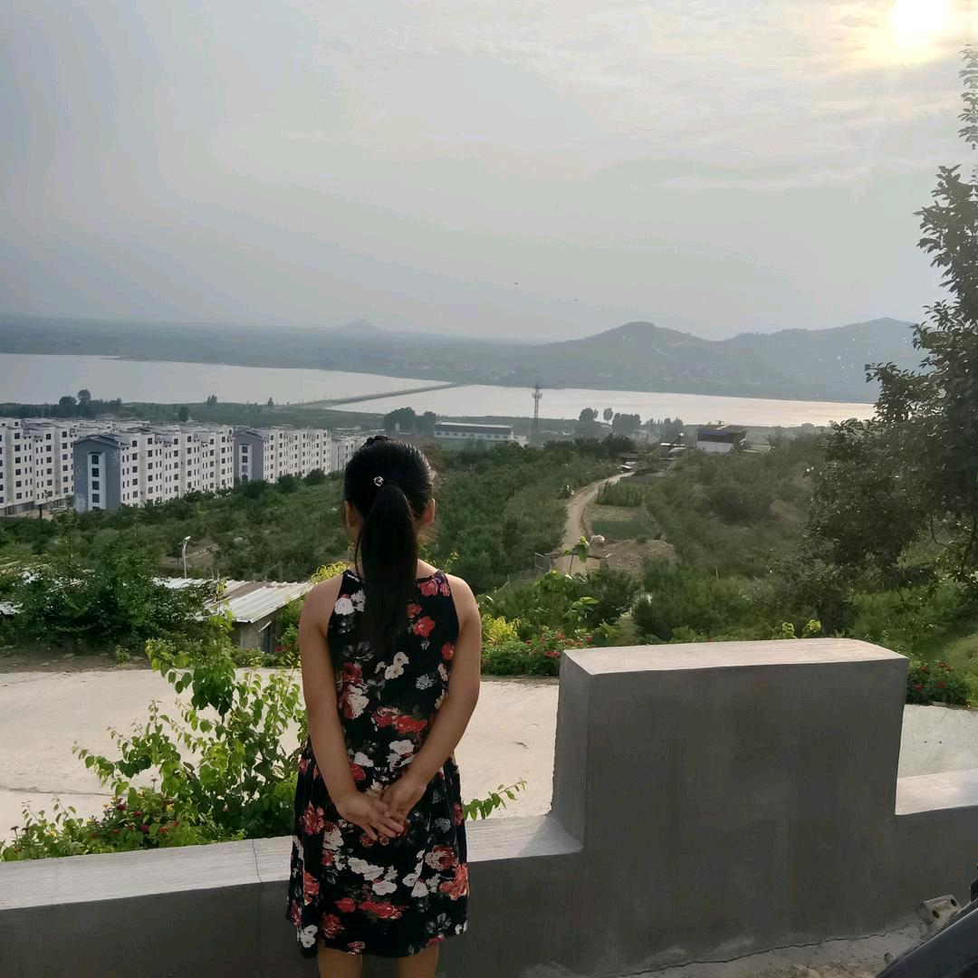 豪淇宝贝