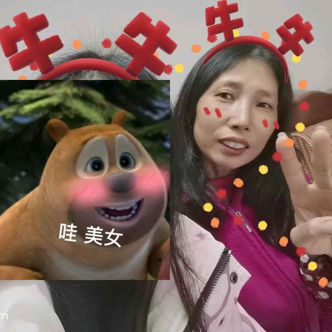 秀秀a