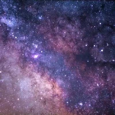霓裳挽歌