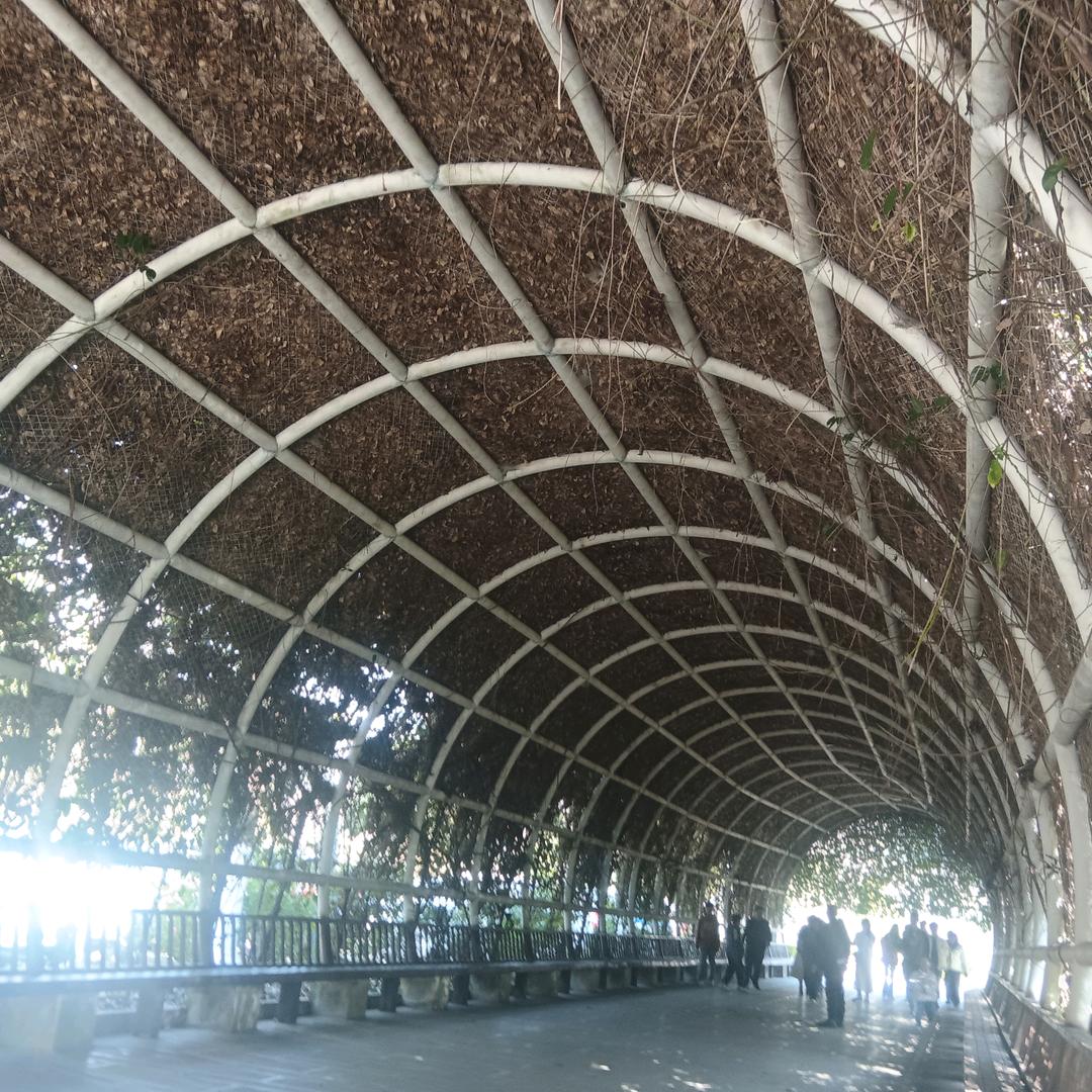 爱情飞篆