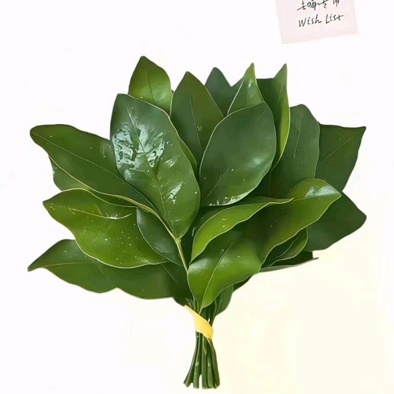 梧桐