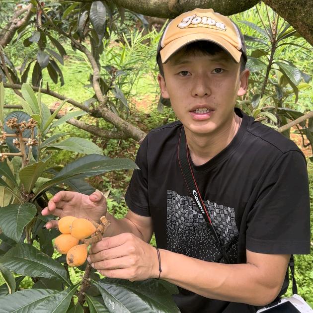 云边觅果
