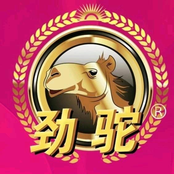 澄迈劲驼妹子