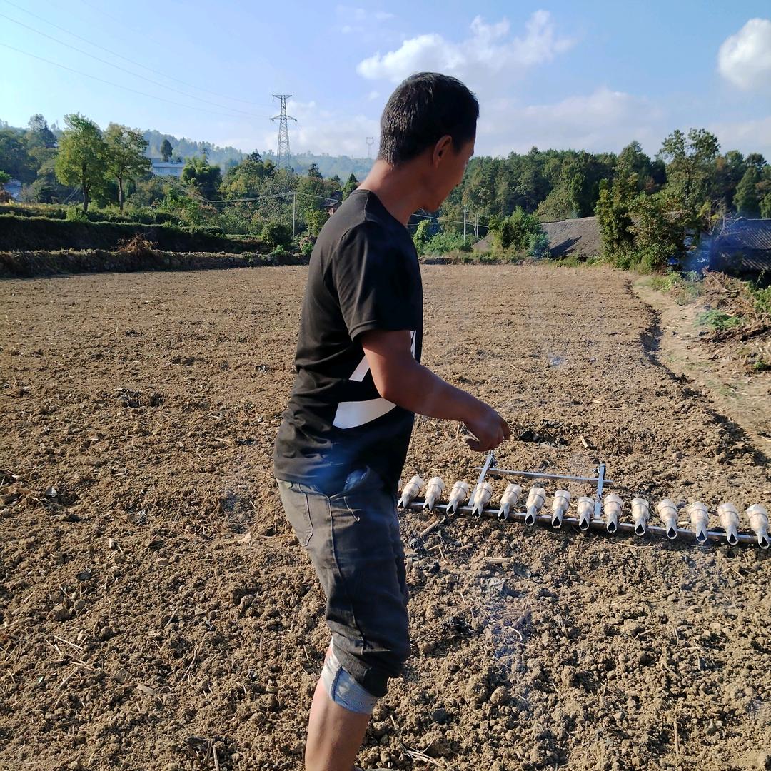小饼干