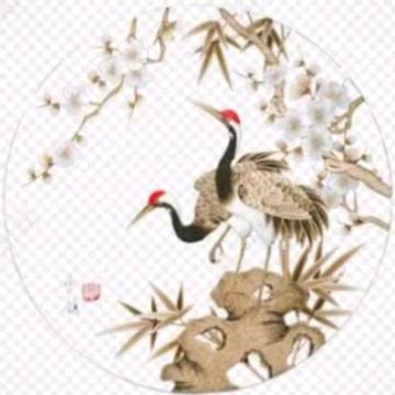 晨熙太极