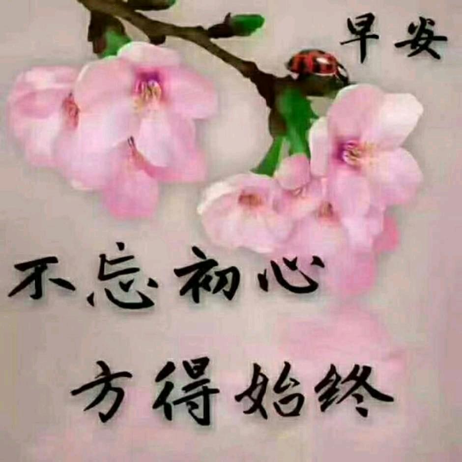 甄嬛传原声