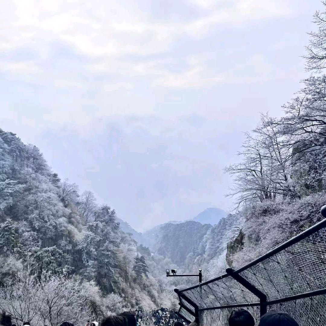 随缘