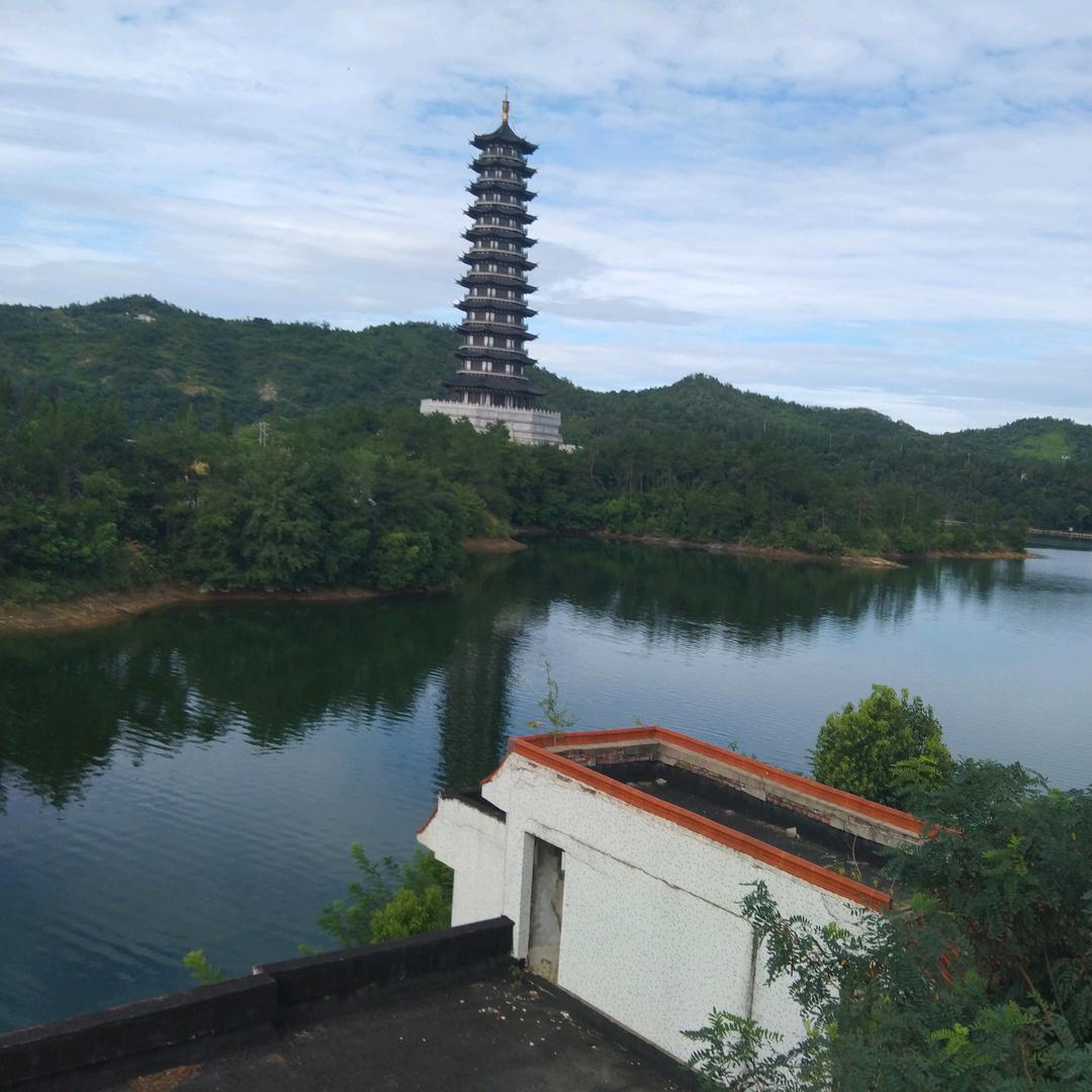 花子情哥