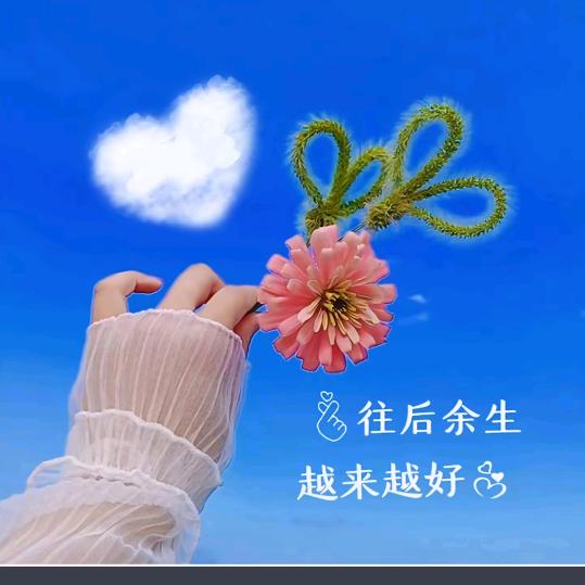 余生随心