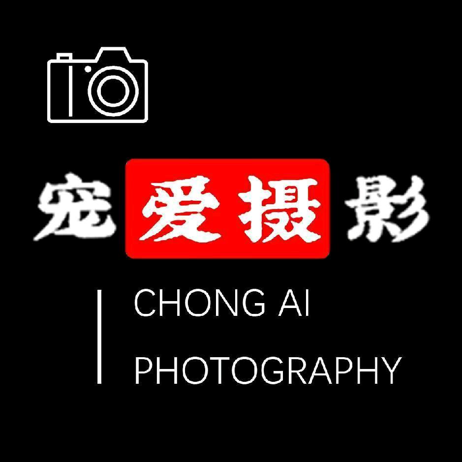 宠爱摄影