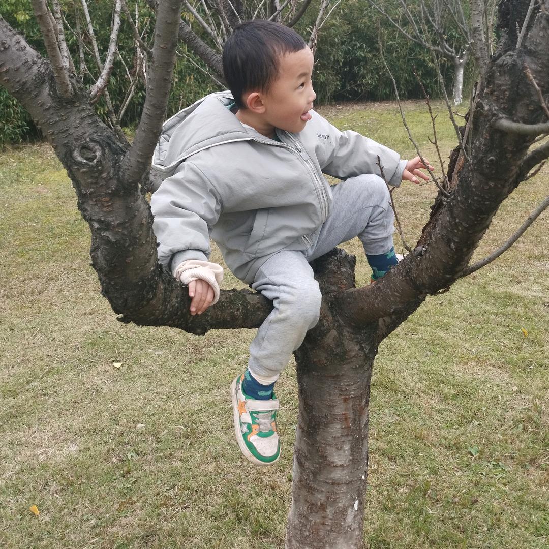 人生的路，自己去拼