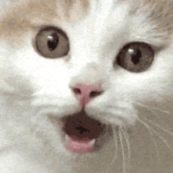 爱👄