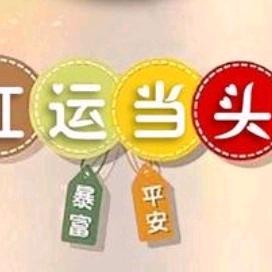 八号仓铺