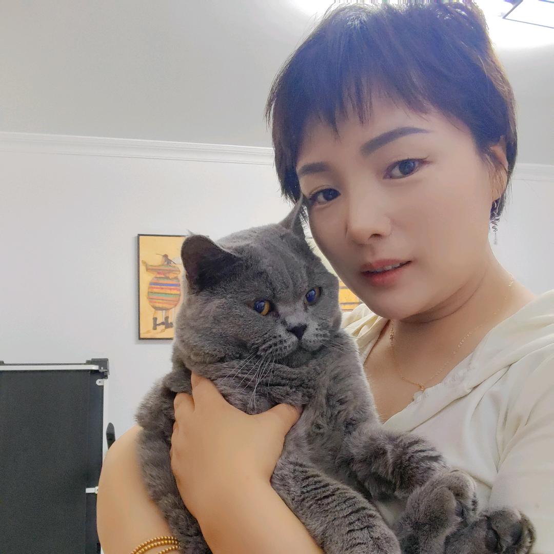 一只团团（一只情绪超稳定的猫）
