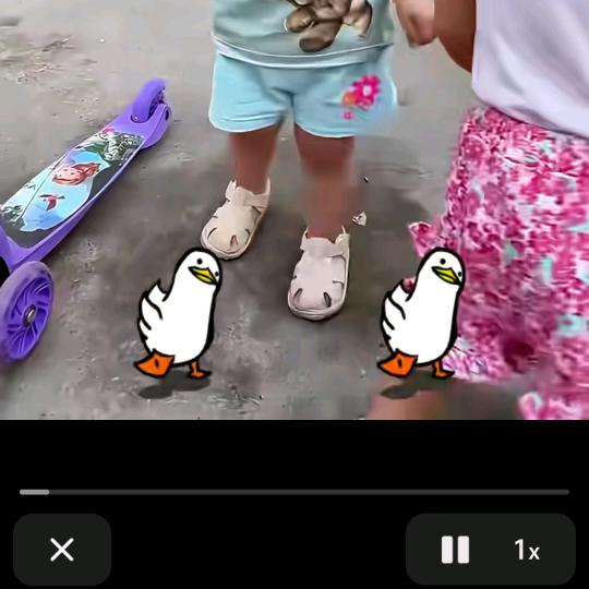 qq