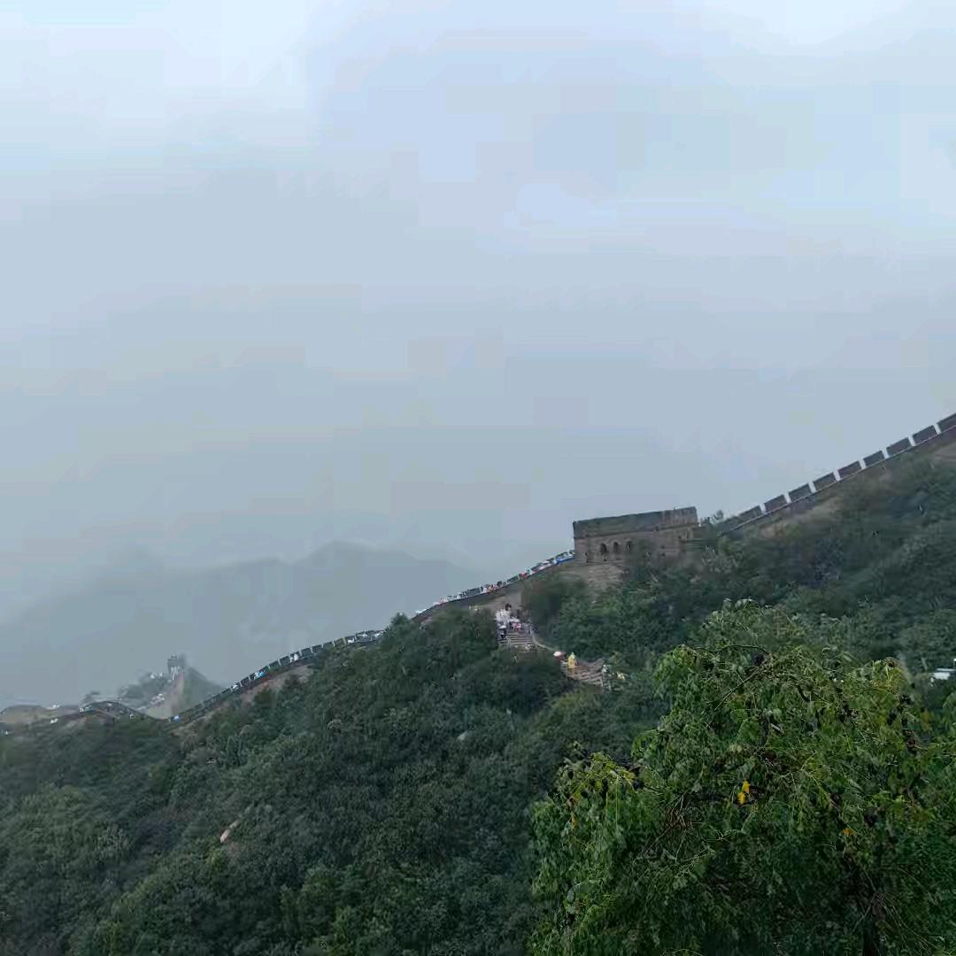 飞啊飞