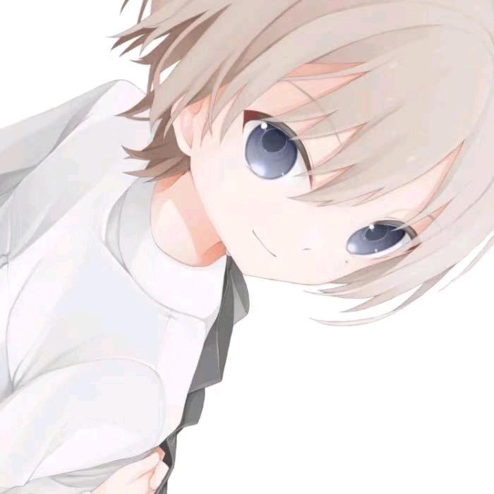 小猫咪🐱🐱🐱