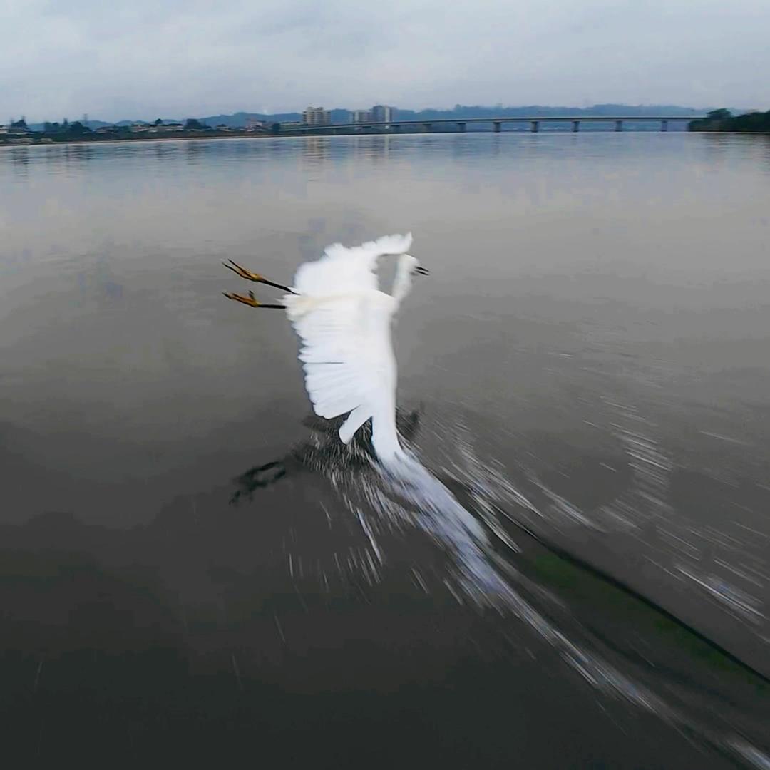 留不住的青春….…