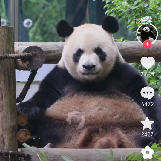 天上掉下来亓亓