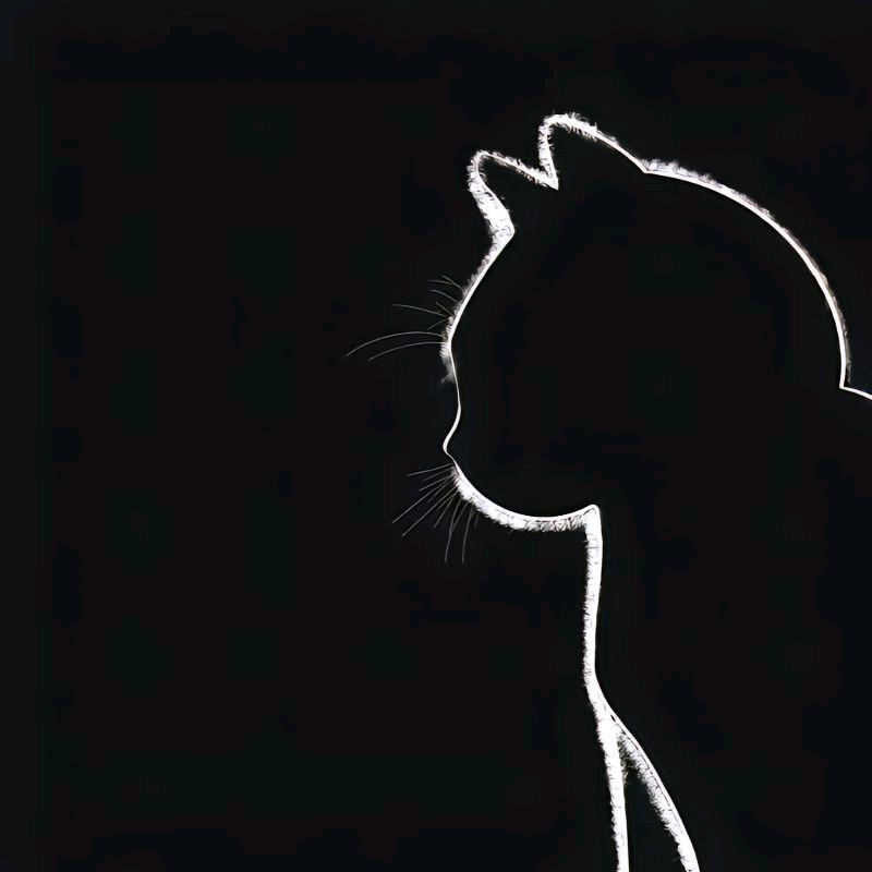 幼稚园的优质猫#39540