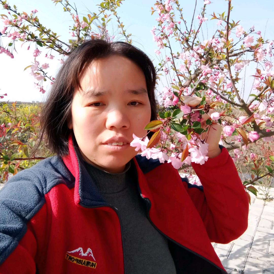 王平