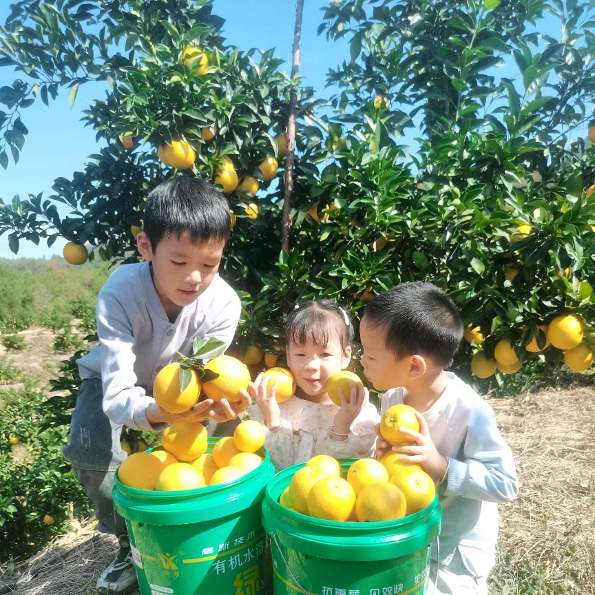 装&橙(明盛灯饰五金水电)