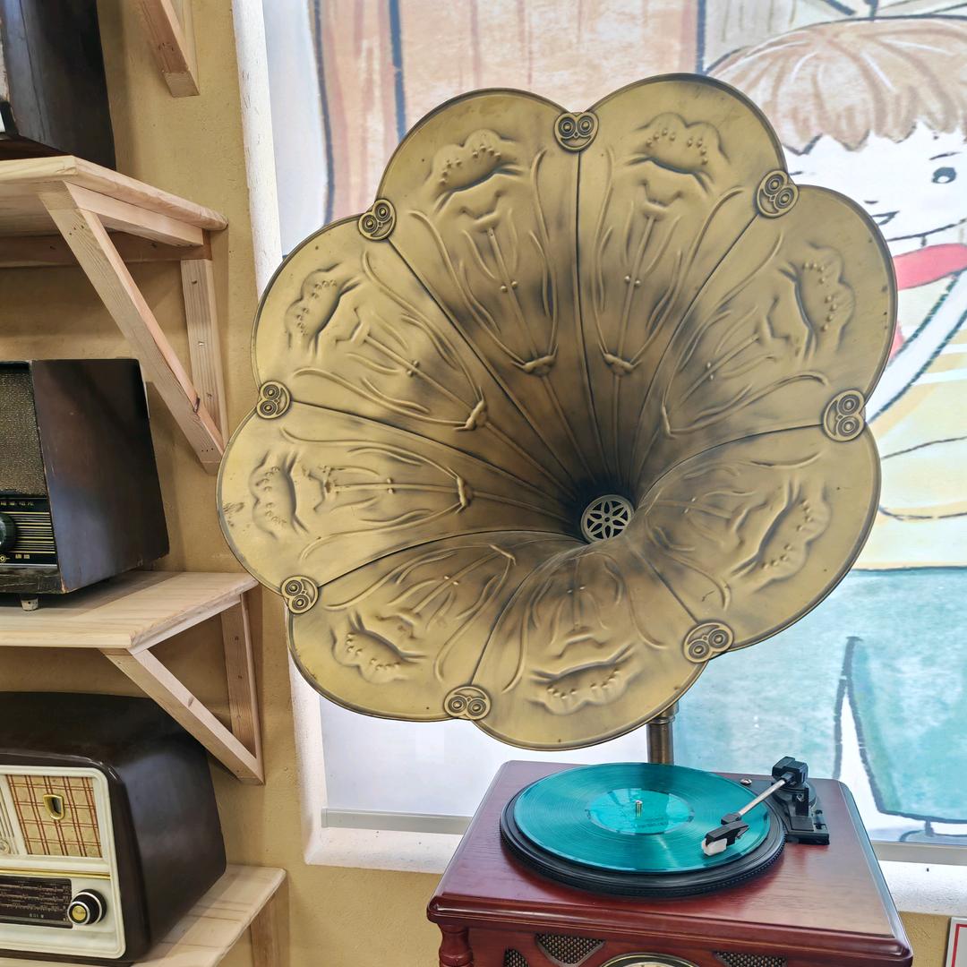 难瘦的刚仔