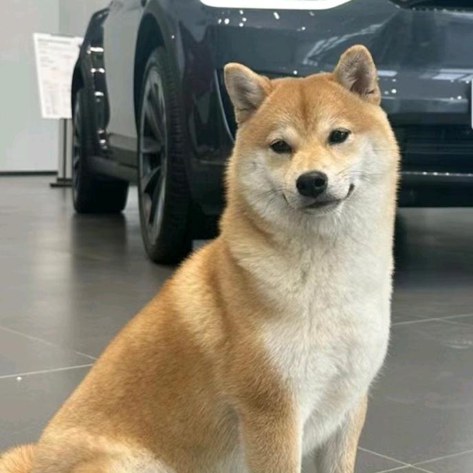 旺仔🐿️🐿🐿🐿🐿