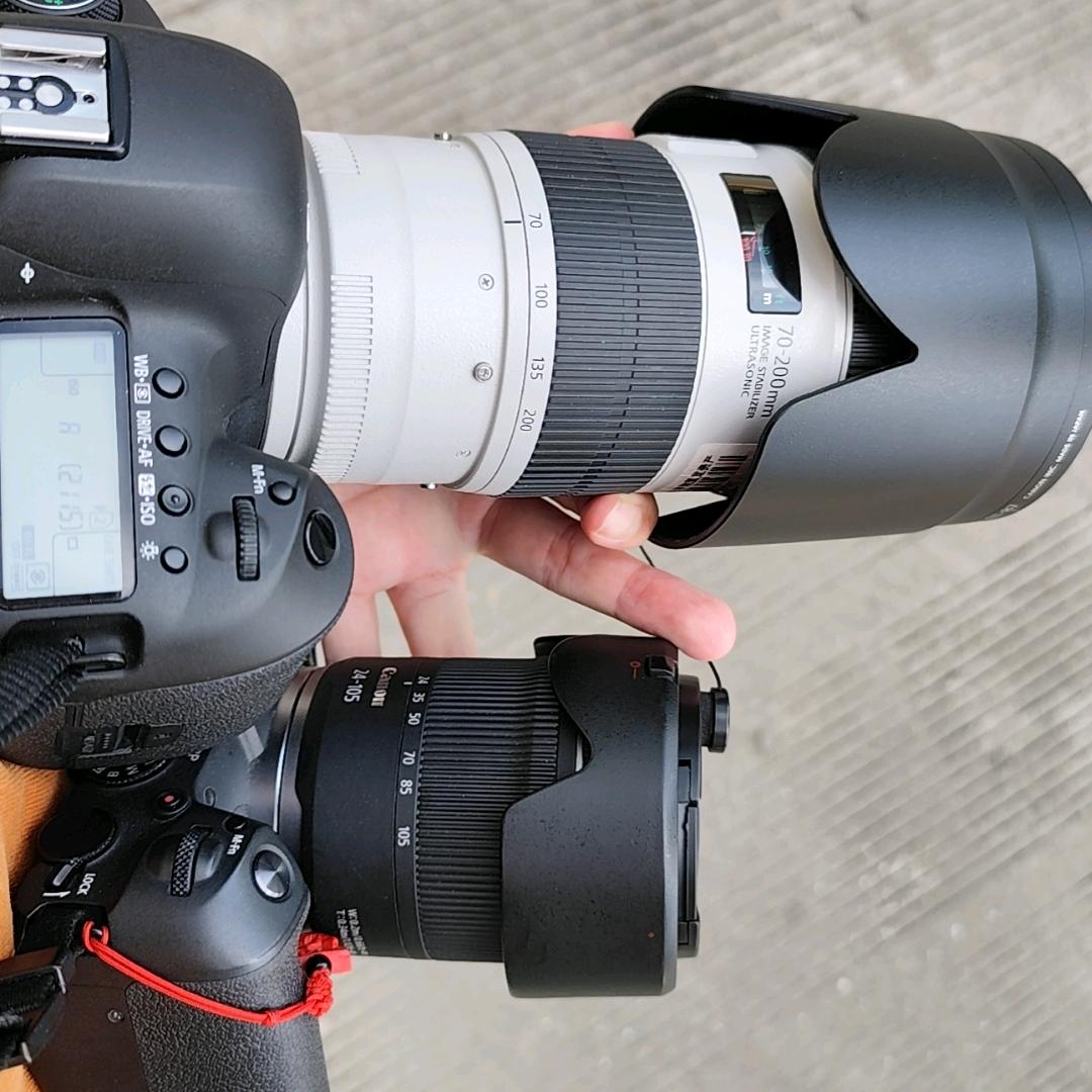 网络摸鱼观察员