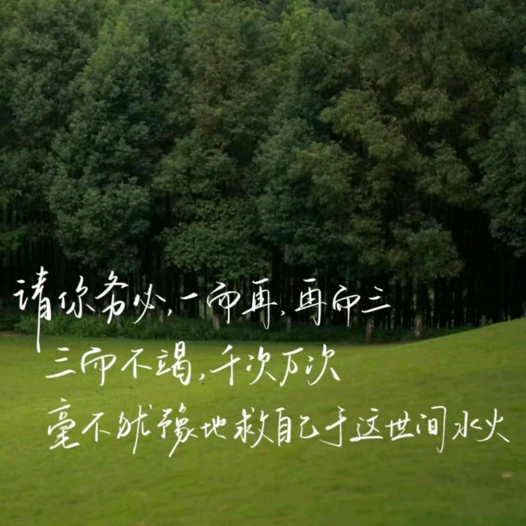 五小小☼