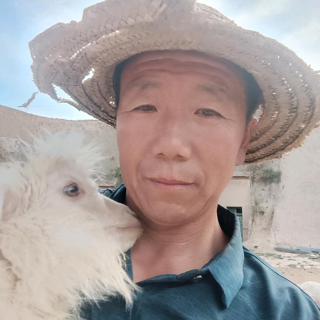 环县芦家湾羊糕肉