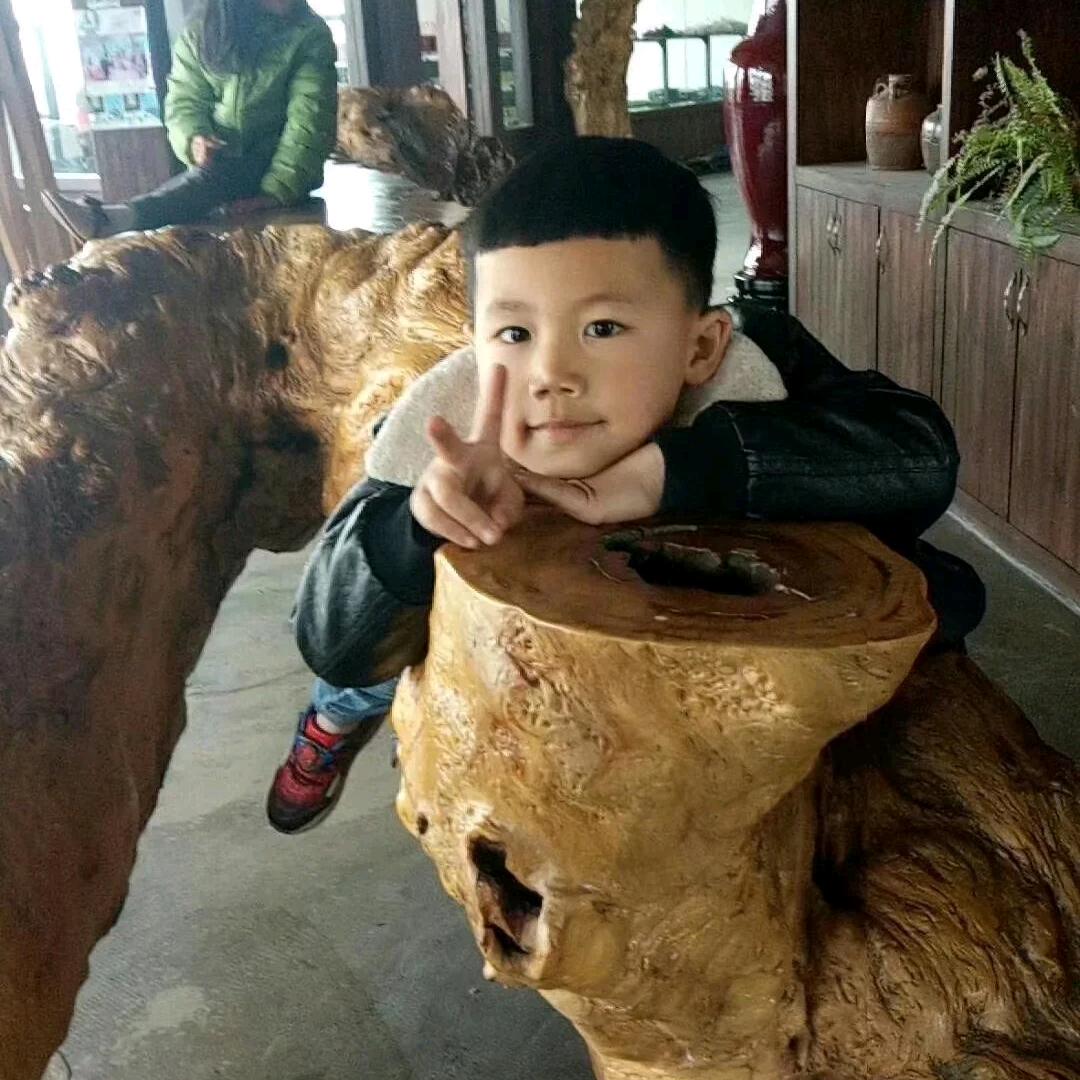 阳光总在风雨后