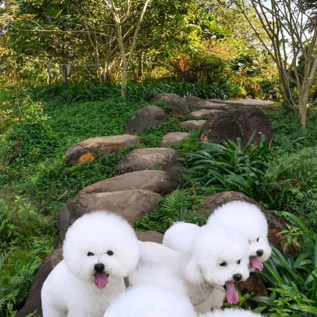 保持微笑