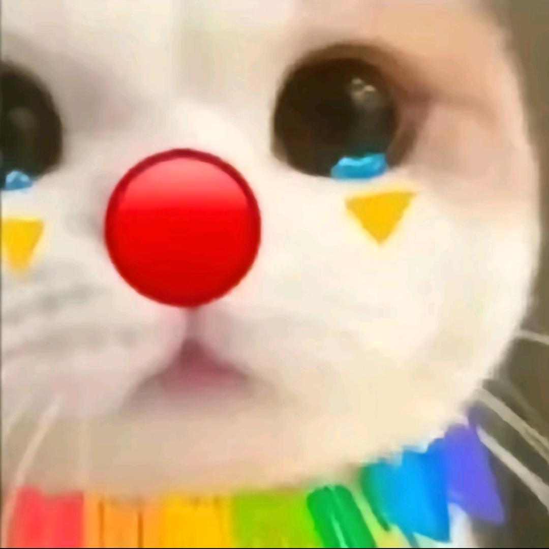摆子