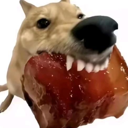种一颗树