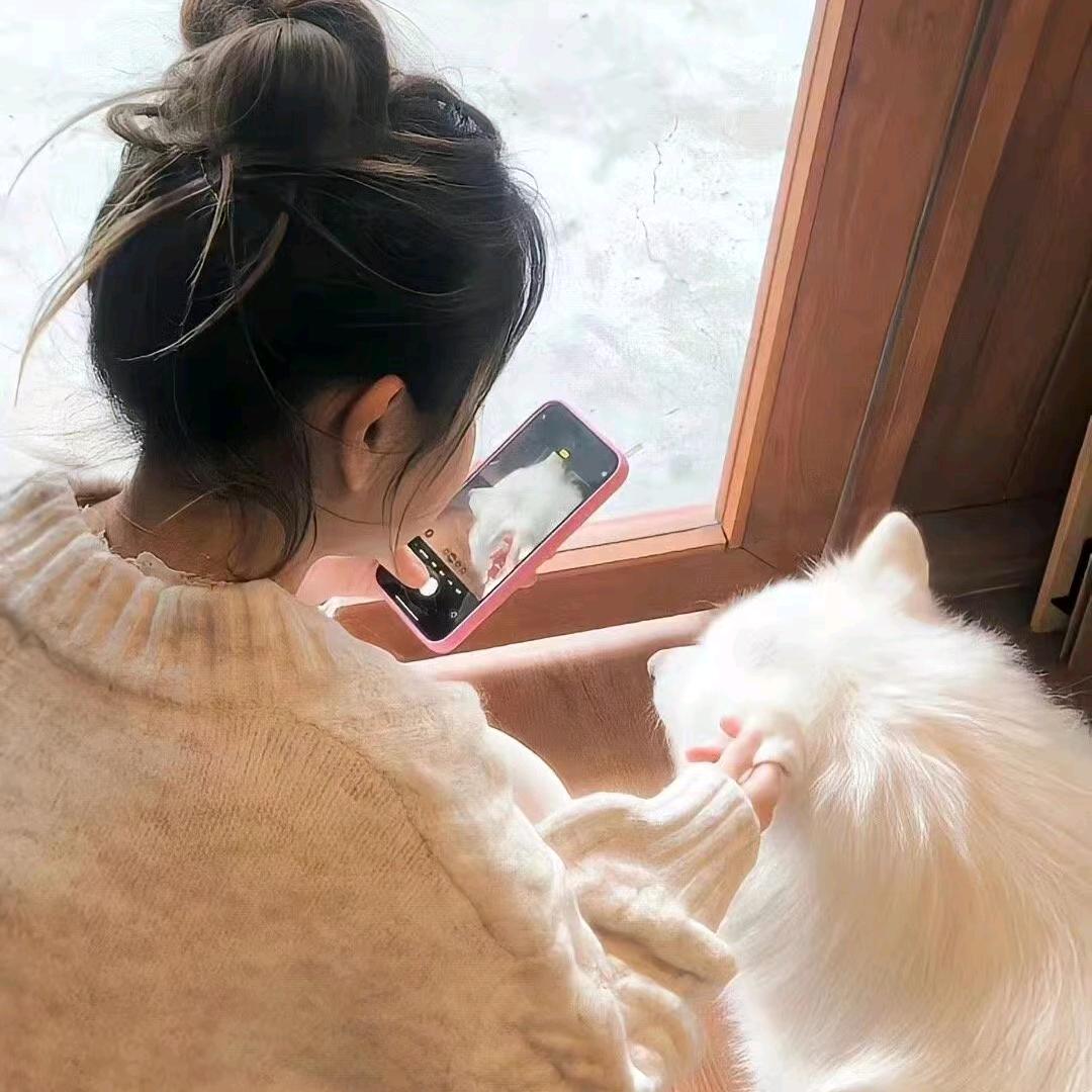 柠檬₍˄·͈༝·͈˄*₎◞ ̑̑