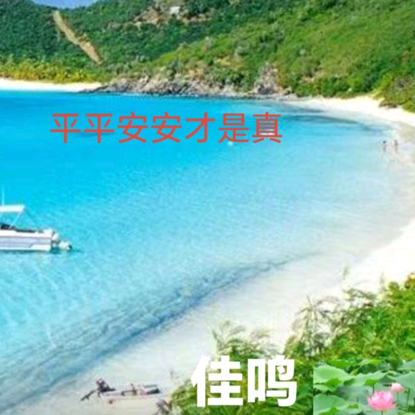 佳鸣